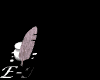 N'h�sitez pas � nous contacter.